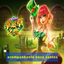 acompanhante neca santos